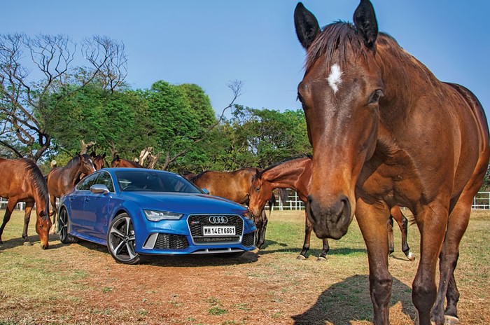 Horse power vs horsepower 